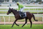 Self Sense chasing home town victory in Mornington Cup