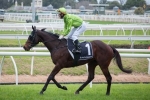 Bigger track to suit Self Sense in Caloundra Cup Bigger track to suit Self Sense in Caloundra Cup