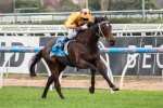 Sino Eagle Chasing Maiden Group Win In Aurie’s Star Handicap Sino Eagle Chasing Maiden Group Win In Aurie’s Star Handicap