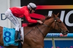 Thiamandi over the odds for W.W. Cockram Stakes