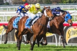 Moody Stable Happy With Monkstone Ahead Of Racing Return Moody Stable Happy With Monkstone Ahead Of Racing Return