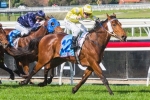 Caulfield Guineas For Monkstone After Impressive Win