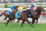 Ready To Rip To Be Competitive In Bletchingly Stakes Ready To Rip To Be Competitive In Bletchingly Stakes