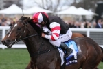 Lord Of The Sky Ready for Sir John Monash Stakes