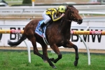 Bel Sprinter back to favourite distance in Oakleigh Plate