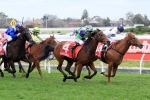 Thousand Guineas An Option For Quezette Stakes Winner I Am A Star Thousand Guineas An Option For Quezette Stakes Winner I Am A Star