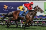 Gold Symphony aiming for a Stradbroke Handicap start