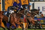 The Cleaner To Join Gelagotis Stable The Cleaner To Join Gelagotis Stable