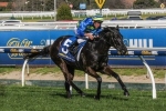 Stream Ahead No Certainty To Contest McNeil Stakes