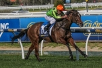 Vezalay Primed for Let’s Elope Stakes