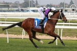 Speed Map A Concern For Avdulla In 2014 Hill Stakes