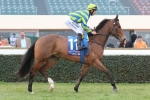 Get The Nod Wins Vain Stakes In Impressive Fashion Get The Nod Wins Vain Stakes In Impressive Fashion