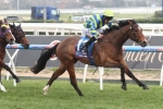 Get The Nod To Start Stradbroke Campaign In Redelva Stakes