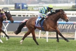 D-Day For Jabali In 2014 McNeil Stakes D-Day For Jabali In 2014 McNeil Stakes
