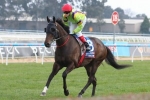 Williams Master Class Gives Hard Stride Regal Roller Stakes Win Williams Master Class Gives Hard Stride Regal Roller Stakes Win
