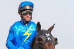 Rosehill Guineas on the agenda for Hong Kong Captain Rosehill Guineas on the agenda for Hong Kong Captain