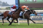 Angland To Ride Star Rolling In Epsom Handicap Angland To Ride Star Rolling In Epsom Handicap