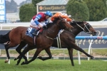 The Metropolitan The Likely Target For Spillway The Metropolitan The Likely Target For Spillway