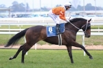 Australian Cup the Target for Star Rolling