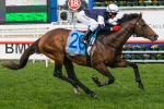 2014 Caulfield Cup: Schofield Confident Green Moon Can Bounce Back