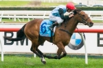 Octavia Out To Extend Winning Streak In Let’s Elope Stakes