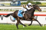 Caulfield Cup The Goal For Pakal