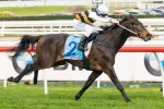 Pakal The Carlyon Cup Pick For Price