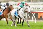 Puissance De Lune to miss the remainder of the Spring Carnival Puissance De Lune to miss the remainder of the Spring Carnival