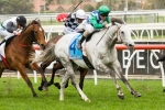 Brown Panther in race against time for Melbourne Cup