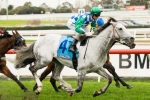 Puissance De Lune Enjoying Time At the Beach After First-Up Win