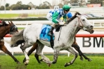 Puissance De Lune Enjoying Time At the Beach After First-Up Win Puissance De Lune Enjoying Time At the Beach After First-Up Win