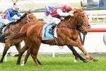 Safeguard To Contest Starlight Stakes
