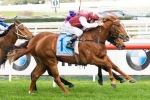 Safeguard Remains Unbeaten With Vain Stakes Win Safeguard Remains Unbeaten With Vain Stakes Win