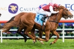 Williams picks up the ride on Safeguard in Danehill Stakes Williams picks up the ride on Safeguard in Danehill Stakes