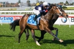 Sea Moon Passed Fit After Makybe Diva Stakes Mishap