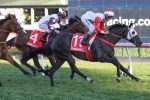 Mystic Journey remains at the top of 2019 Cox Plate betting