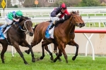 Lady Melksham To Run On Saturday After Minor Hiccup Lady Melksham To Run On Saturday After Minor Hiccup