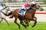 Memsie Track Not Expected To Suit Second Effort Memsie Track Not Expected To Suit Second Effort