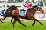 Rawiller Confident Second Effort Can Beat The Big Guns