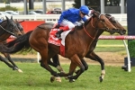 Osborne Bulls and Zoustyle share favourtism after Stradbroke Handicap nominations