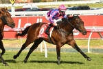 Tony Nicconi To McNeil Stakes After Vain Stakes Win