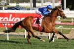 Hartnell set to repeat first up P. B. Lawrence Stakes winning performance