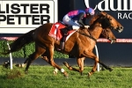 Brave Smash Seeking Potential Berth in The Everest