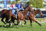 Chivalry to kick off Australian Guineas campaign at Sandown Chivalry to kick off Australian Guineas campaign at Sandown