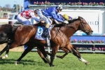 Chivalry Storms Home To Win McNeil Stakes