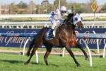 Dissident Included In 2014 Makybe Diva Stakes Field Dissident Included In 2014 Makybe Diva Stakes Field