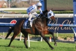Dissident Primed for Australia Stakes Success Dissident Primed for Australia Stakes Success