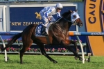 Dissident will win C. F. Orr Stakes declares Moody Dissident will win C. F. Orr Stakes declares Moody