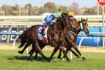 Gregers Out Of 2015 The Cup Club Stakes Gregers Out Of 2015 The Cup Club Stakes