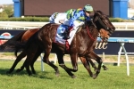 Dabernig Thrilled With Gregers Ahead Of 2015 The Goodwood Dabernig Thrilled With Gregers Ahead Of 2015 The Goodwood